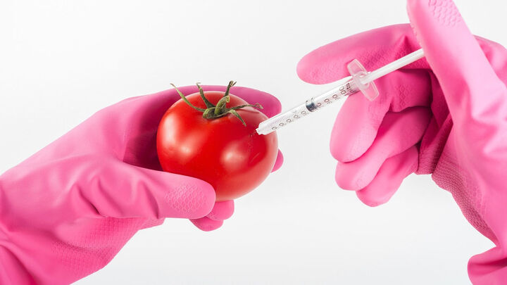 ГМО: правда и мифы